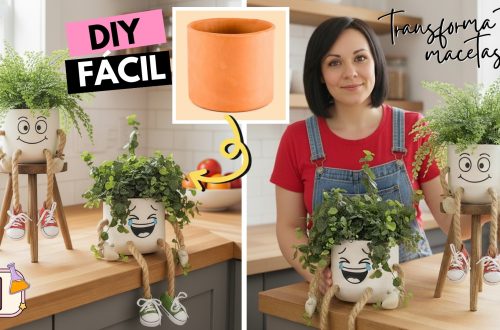 DIY macetas divertidas