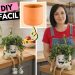 DIY macetas divertidas
